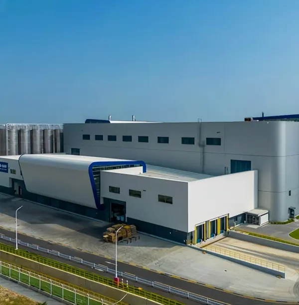 중국 잔장 BASF 프로젝트